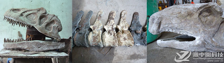 恐龍骨骼化石制作